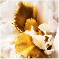 DIOR Parfum Auf Rechnung^J'adore Eau de Parfum Roller-Pearl