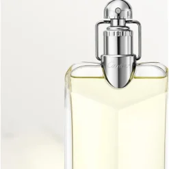 Cartier Beliebtes Parfum^Déclaration Eau de Toilette Spray von
