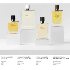 Hermès Eau De Parfum^Hermès Terre d'Hermès Eau Intense Vetiver Eau de Parfum Spray