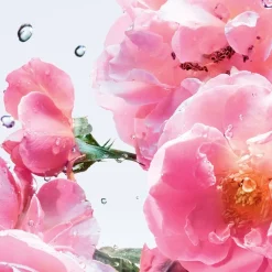 DIOR Parfum Auf Rechnung^Miss Roller-Pearl Rose N Roses von