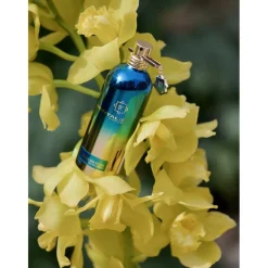 Montale Eau De Parfum^Flowers Blue Matcha Eau de Parfum Spray