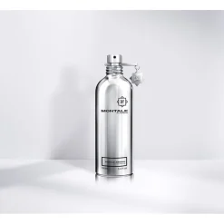 Montale Beliebtes Parfum^Vanilla Vanille Absolu Eau de Parfum Spray