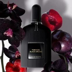 Tom Ford Beliebtes Parfum^Signature Eau de Toilette Spray von