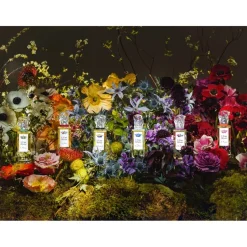 Sisley Eau De Toilette^Les Eaux Rêvées L'Eau Rêvée d'Ikar Eau de Toilette Spray