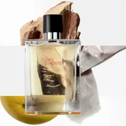 Hermès Beliebtes Parfum^Terre d’Hermès Eau de Toilette Spray von Hermès