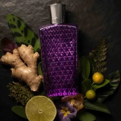 THE MERCHANT OF VENICE Eau De Parfum^Nobil Homo Damascus Desert Eau de Parfum Spray